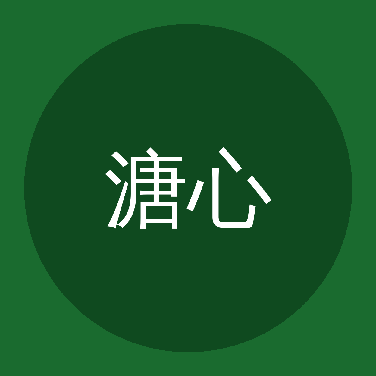 溏心vlog品牌Logo